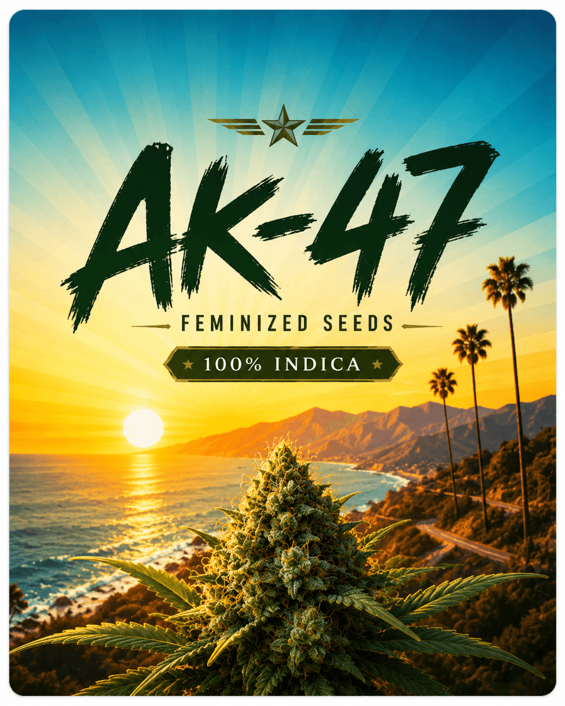 AK 47 XTRM ® Feminized Marijuana Seeds - photo 4