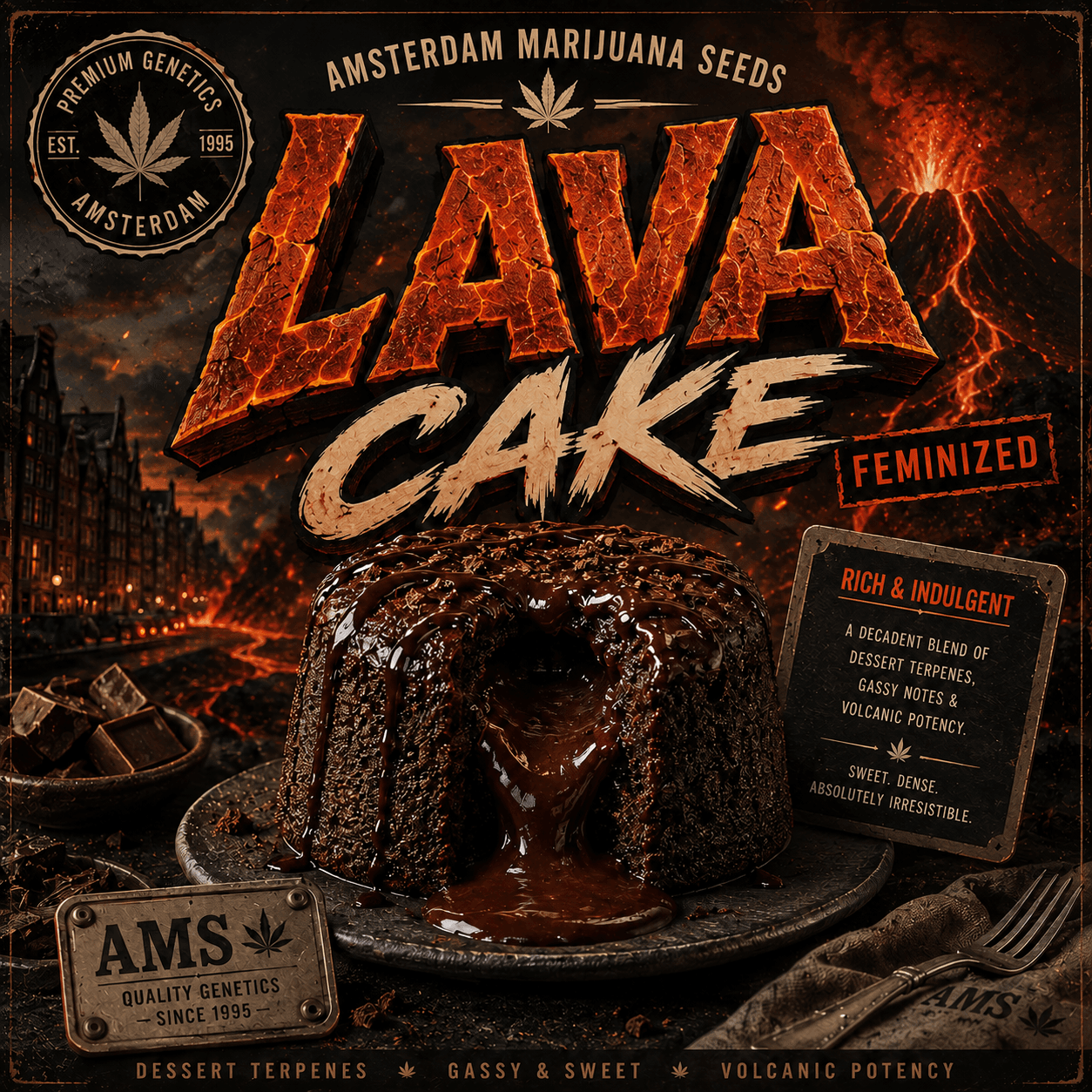 Lava Cake Feminized Seeds - photo 3