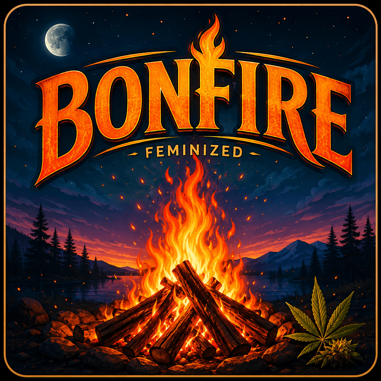 Bonfire Feminized Seeds - photo 3