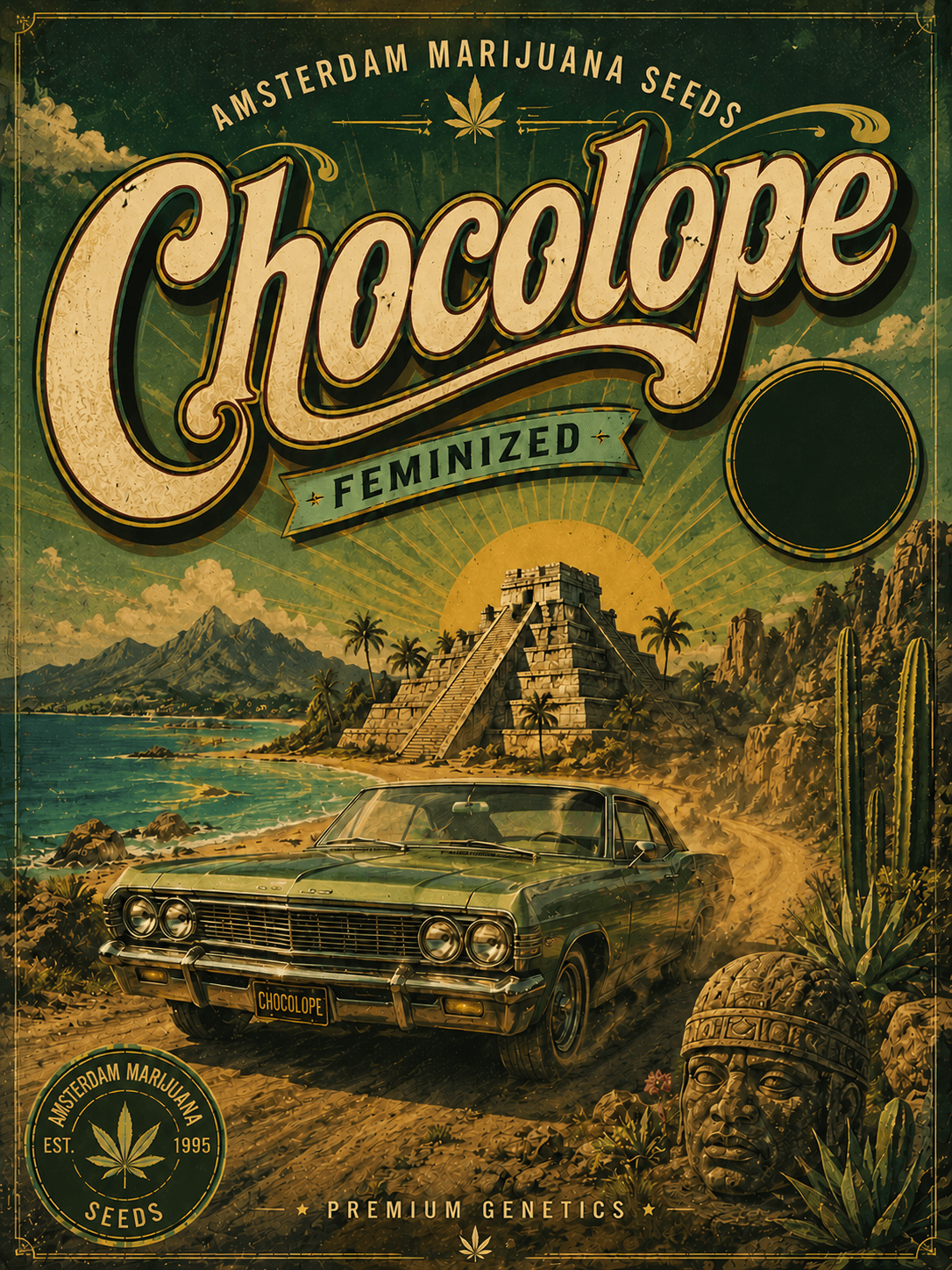 Chocolope Feminized Seeds - photo 4
