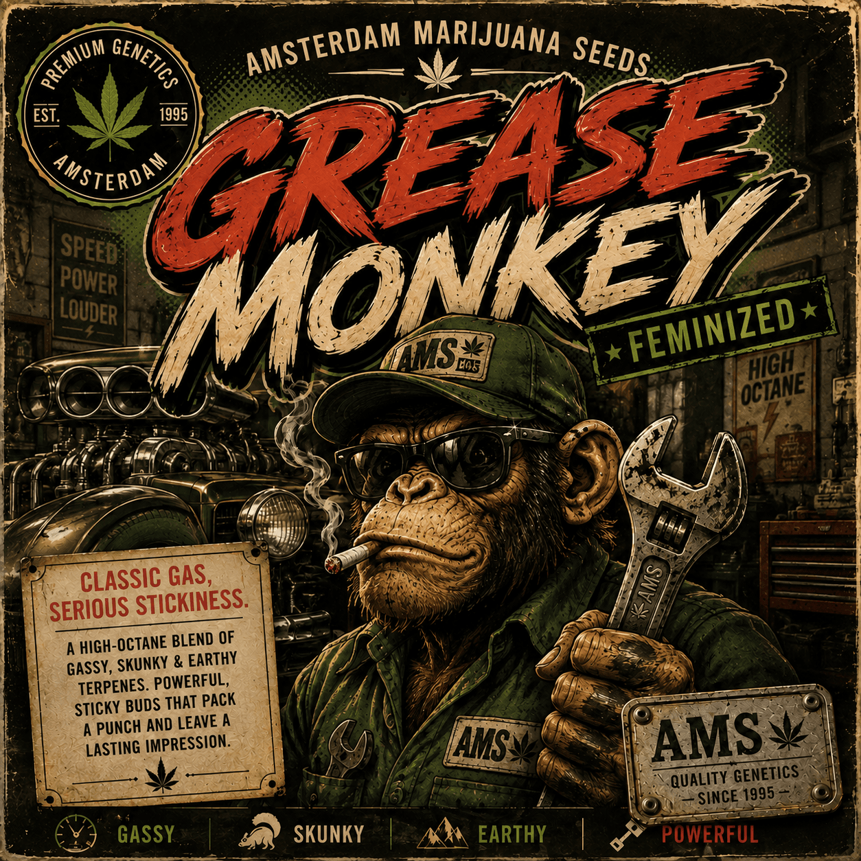 Grease Monkey Feminized Seeds - photo 3