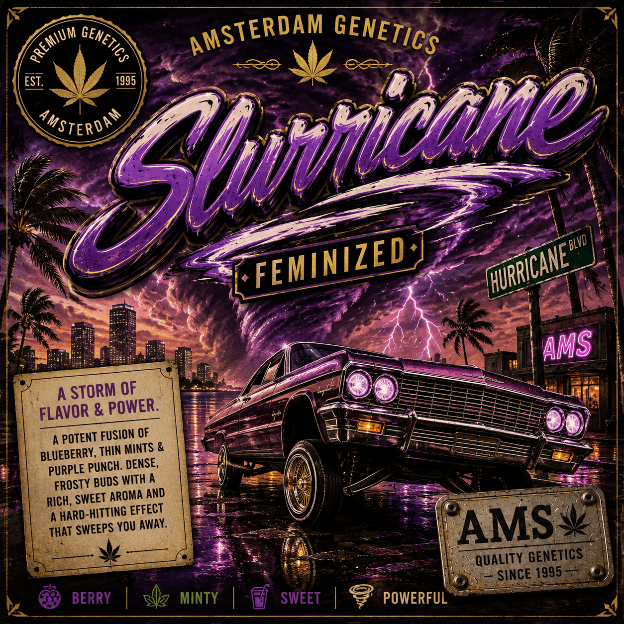 Slurricane Feminized Seeds - photo 4