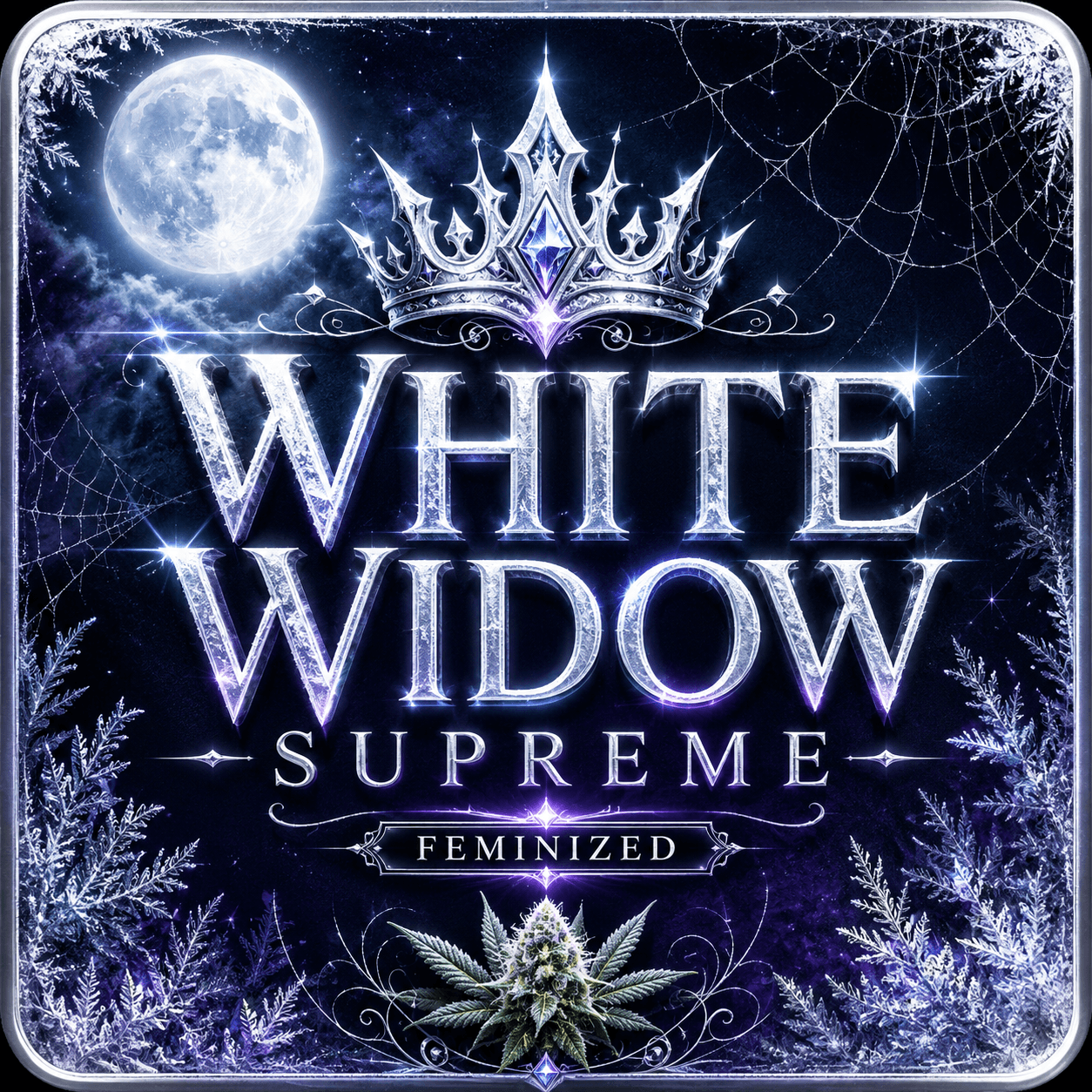 White Widow Supreme Feminized Seeds - photo 4