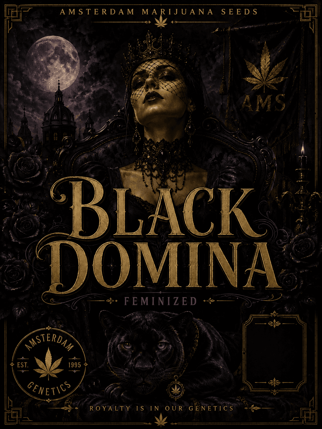 Black Domina Feminized Seeds - photo 6