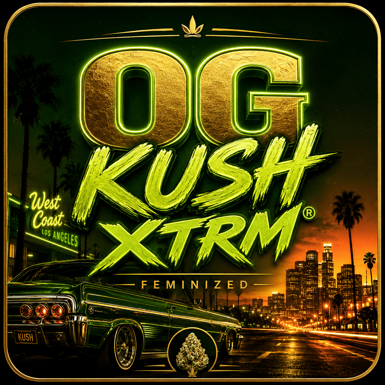 OG Kush XTRM ® Feminized Seeds - photo 5