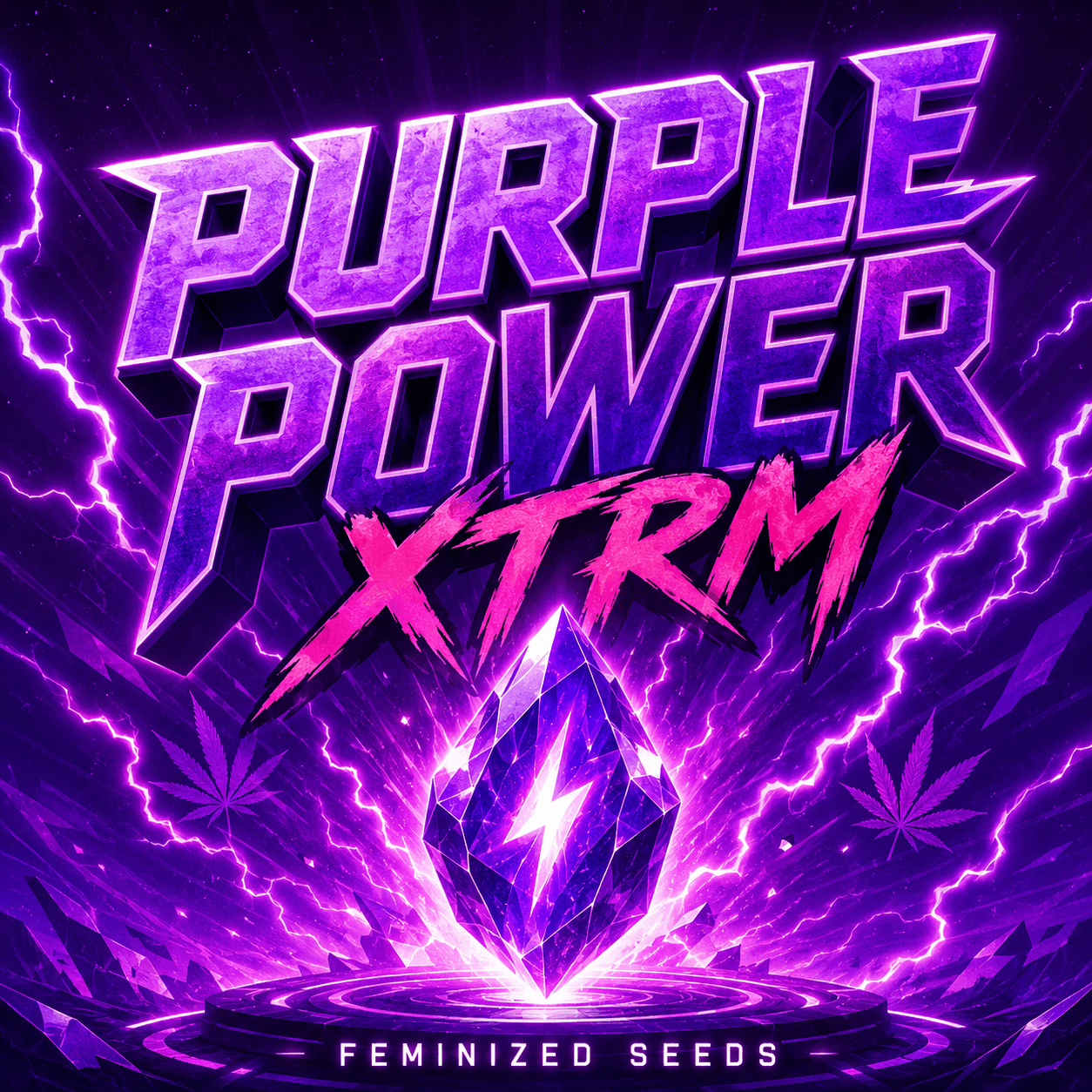 Purple Power XTRM Feminized Seeds - photo 3