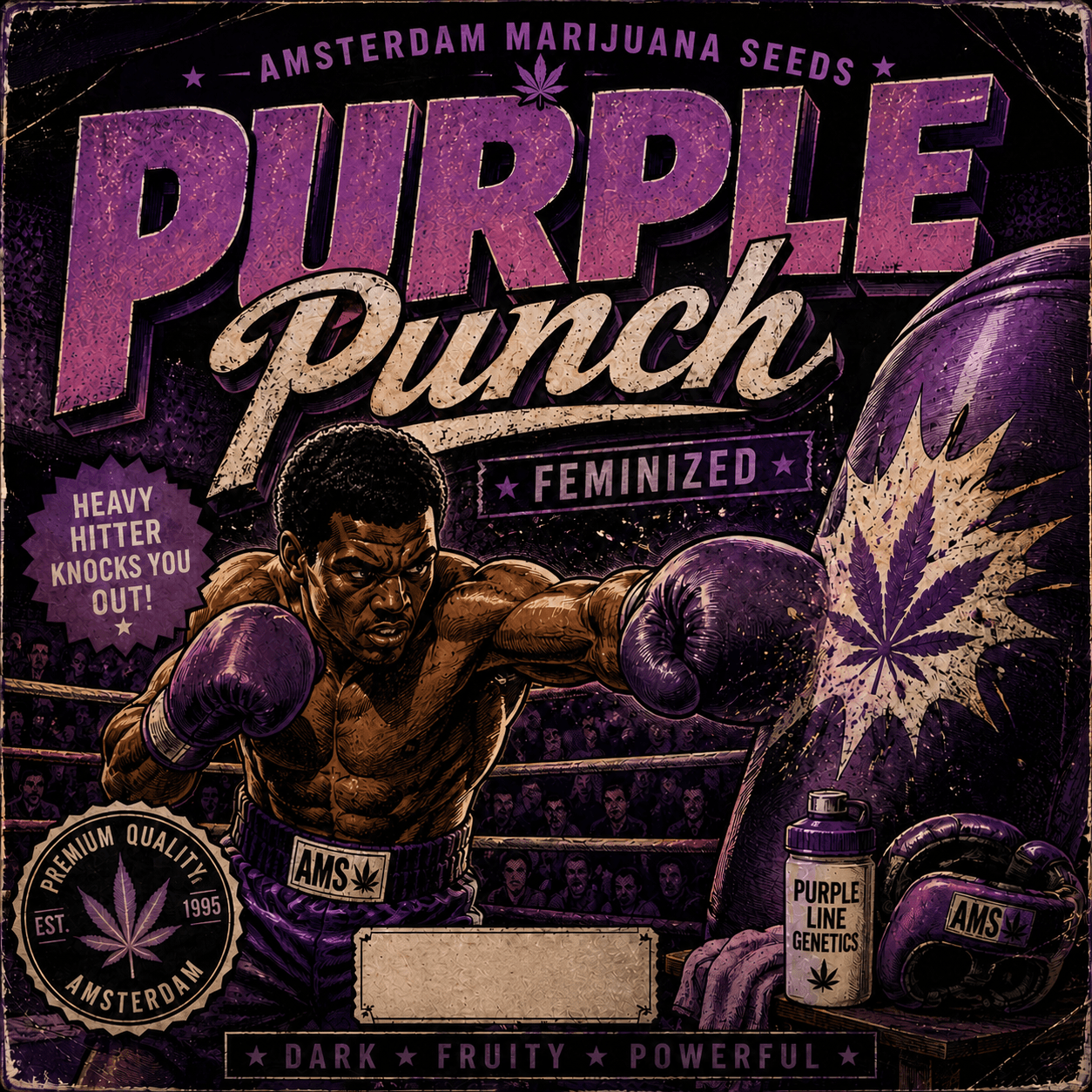 Purple Punch Feminized Seeds - photo 3