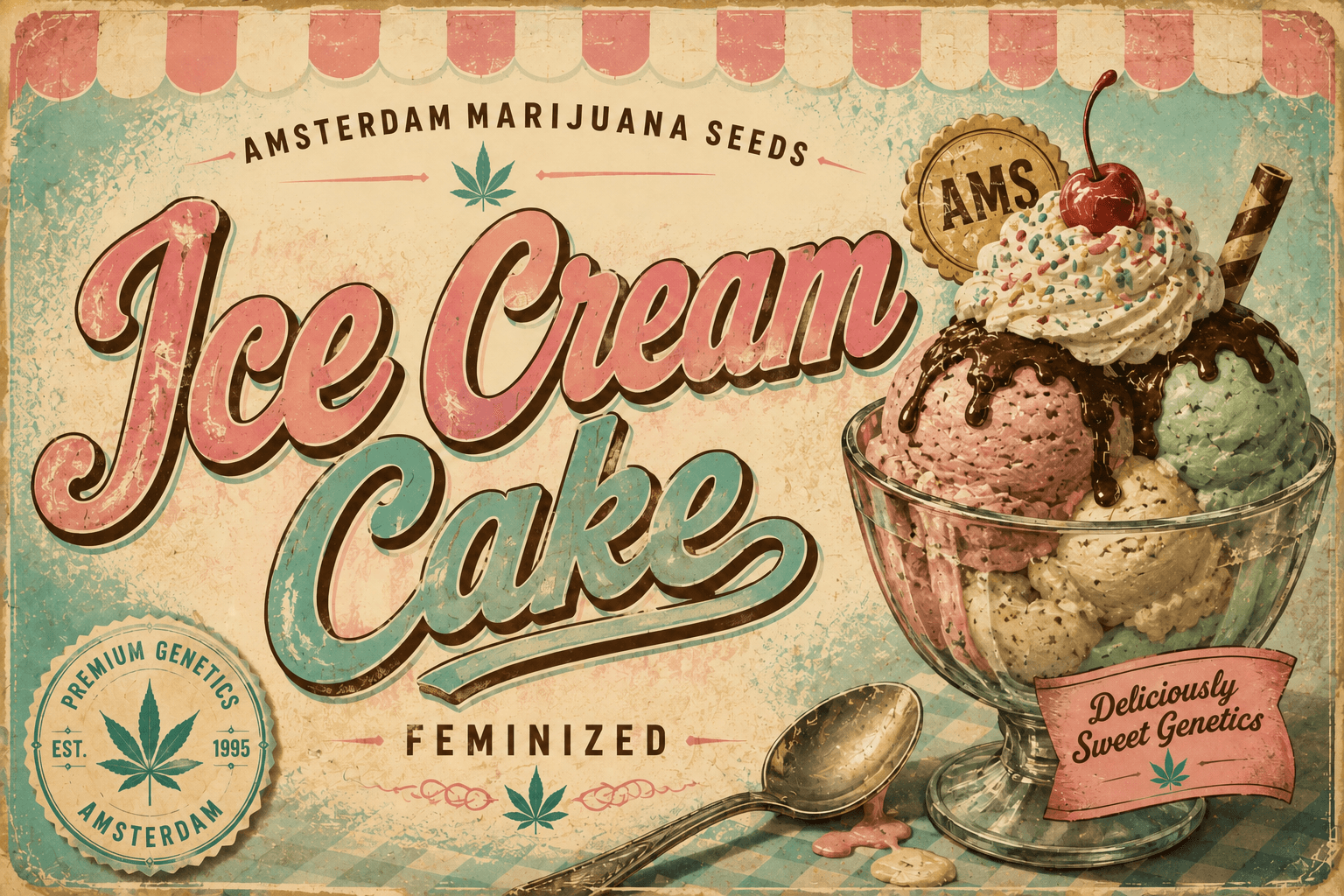 Ice Cream Cake Feminized Seeds - photo 3