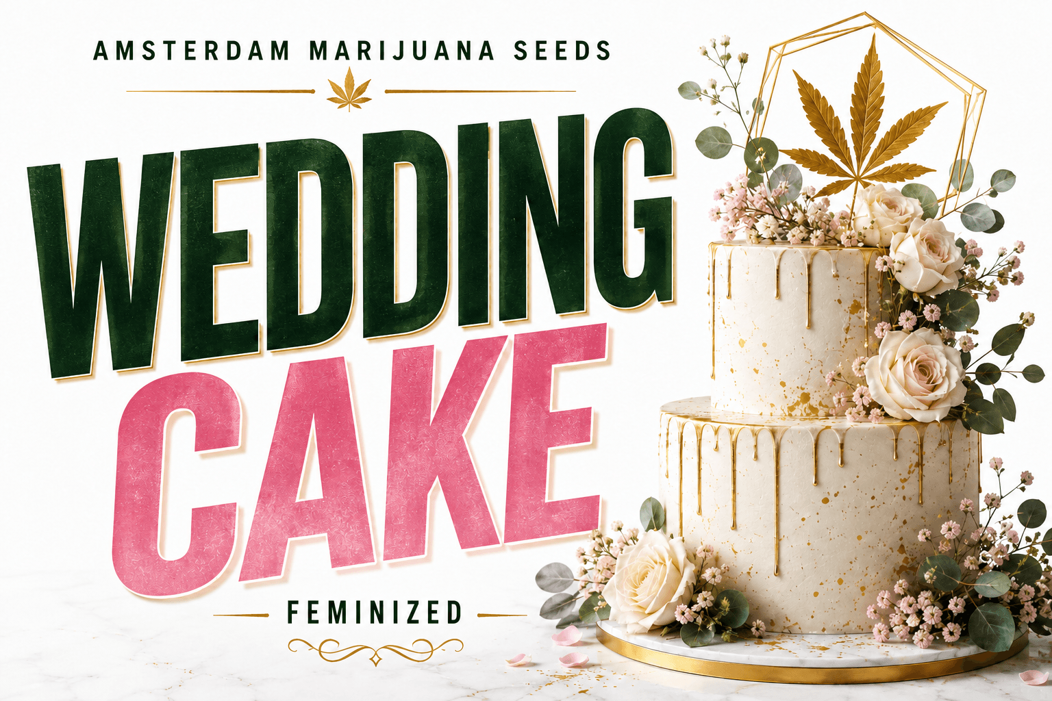 Wedding Cake Feminized Seeds - photo 4