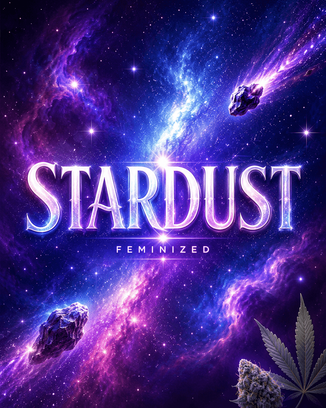 Stardust Feminized Seeds - photo 4