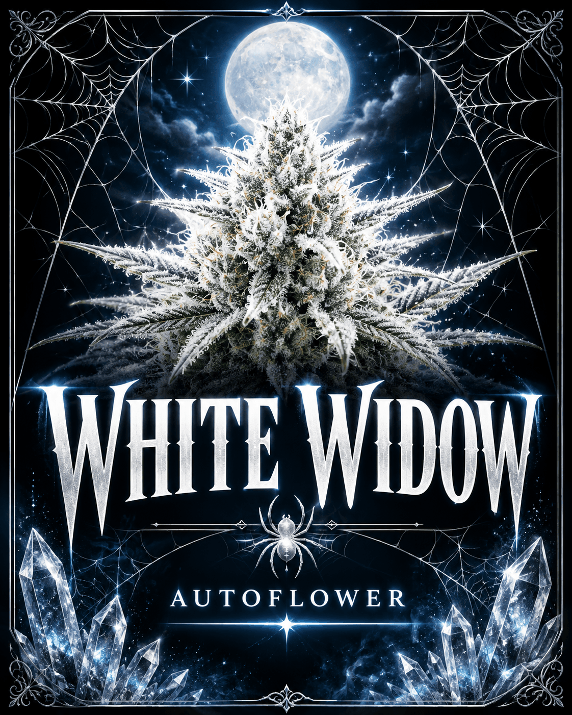 White Widow Autoflower Seeds - photo 4