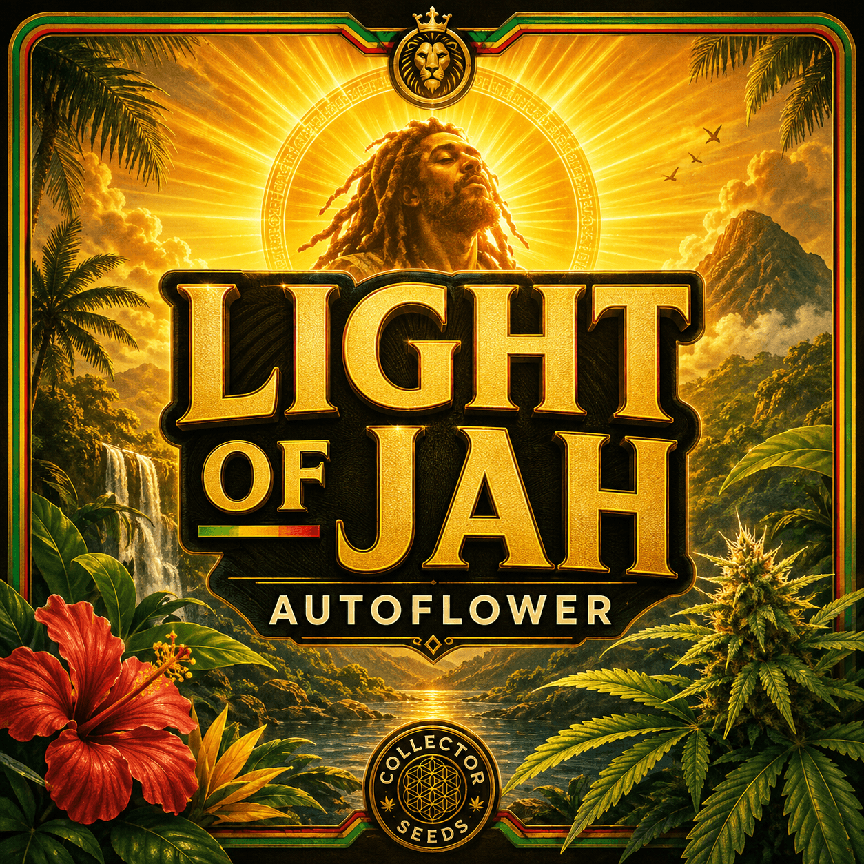 Light of Jah ® Autoflower Seeds - photo 6