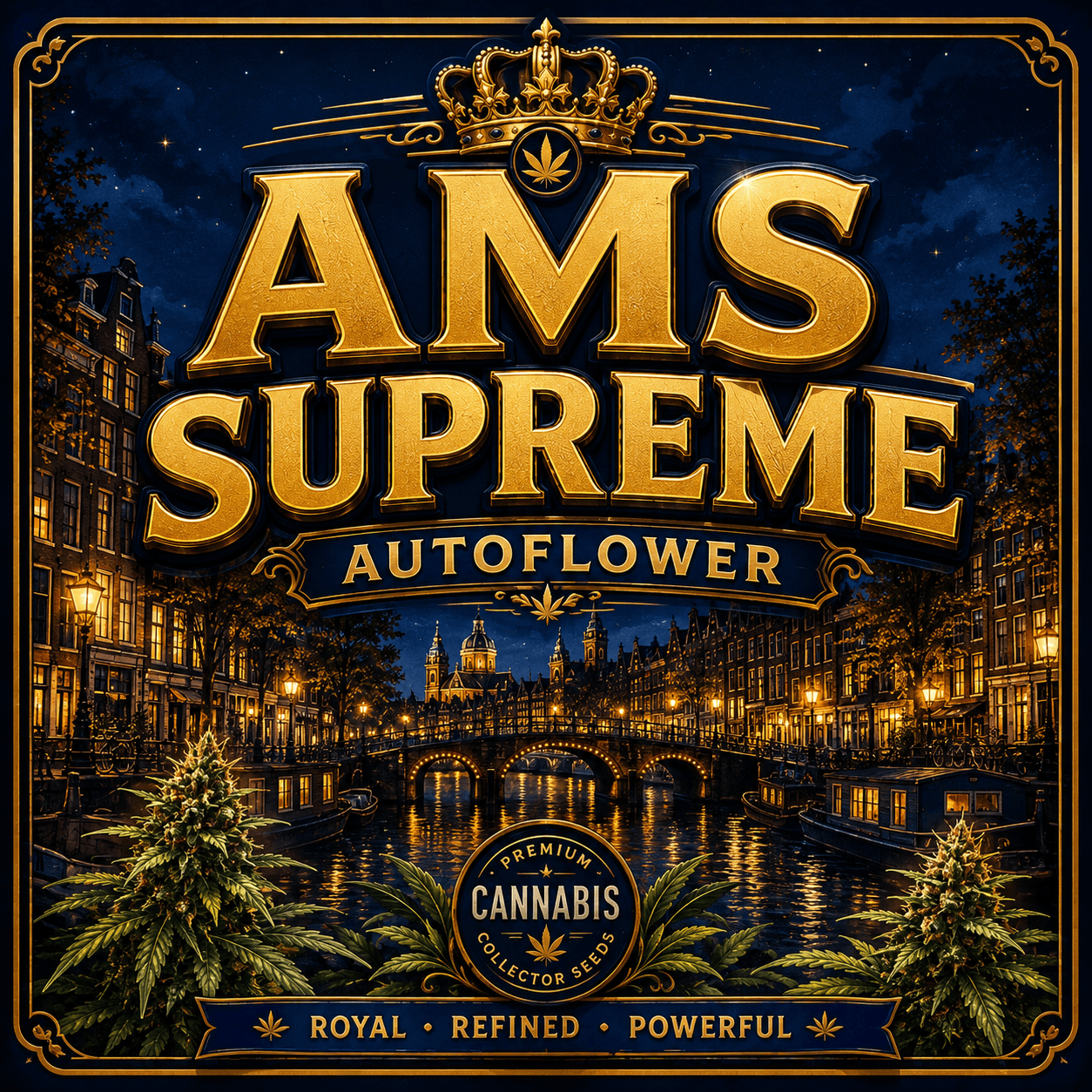 AMS Supreme Autoflower Seeds - photo 7