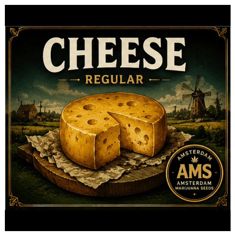 Cheese Seeds - photo 3