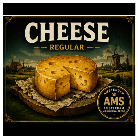 Cheese Seeds - photo 4