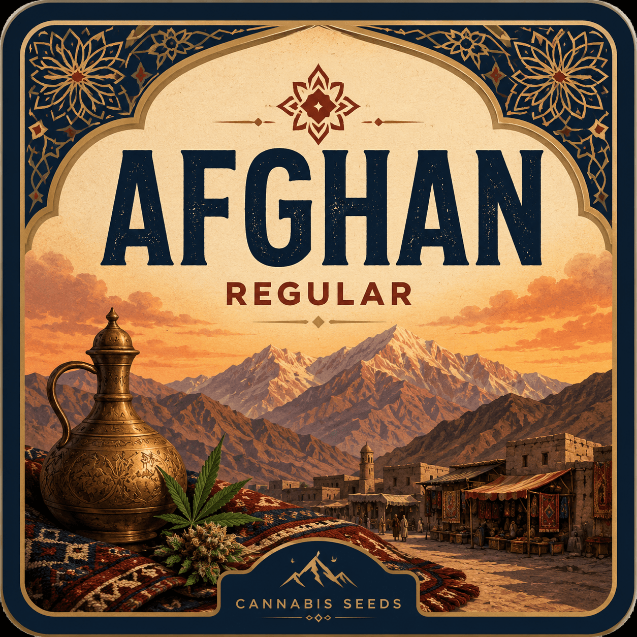 Afghan Regular Seeds - photo 3