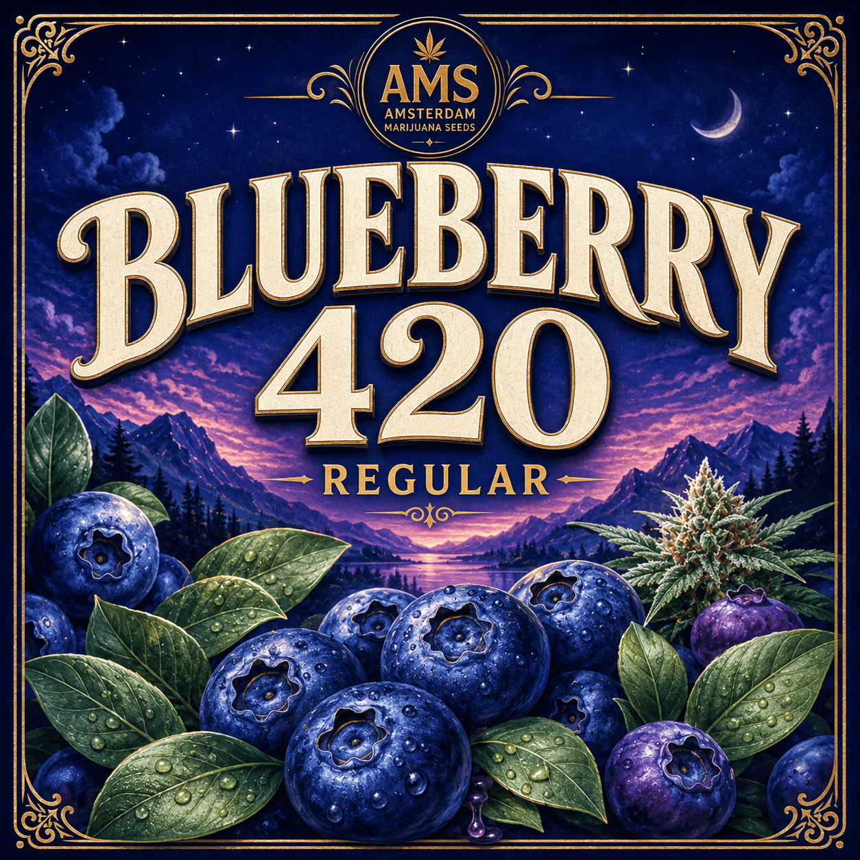 Blueberry 420 Regular Seeds - photo 3
