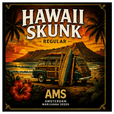 Hawaii Skunk Regular Seeds - photo 3