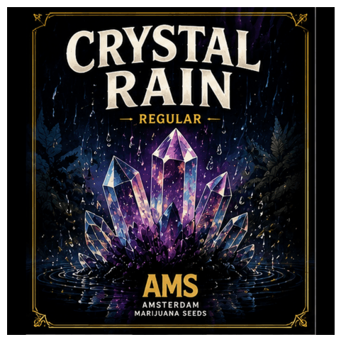 Crystal Rain Regular Seeds - photo 3