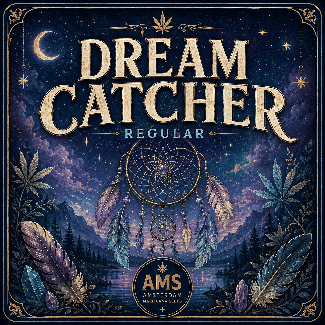 Dream Catcher Regular Seeds - photo 3