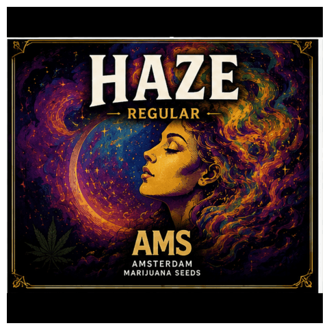 Haze Regular Seeds - photo 3