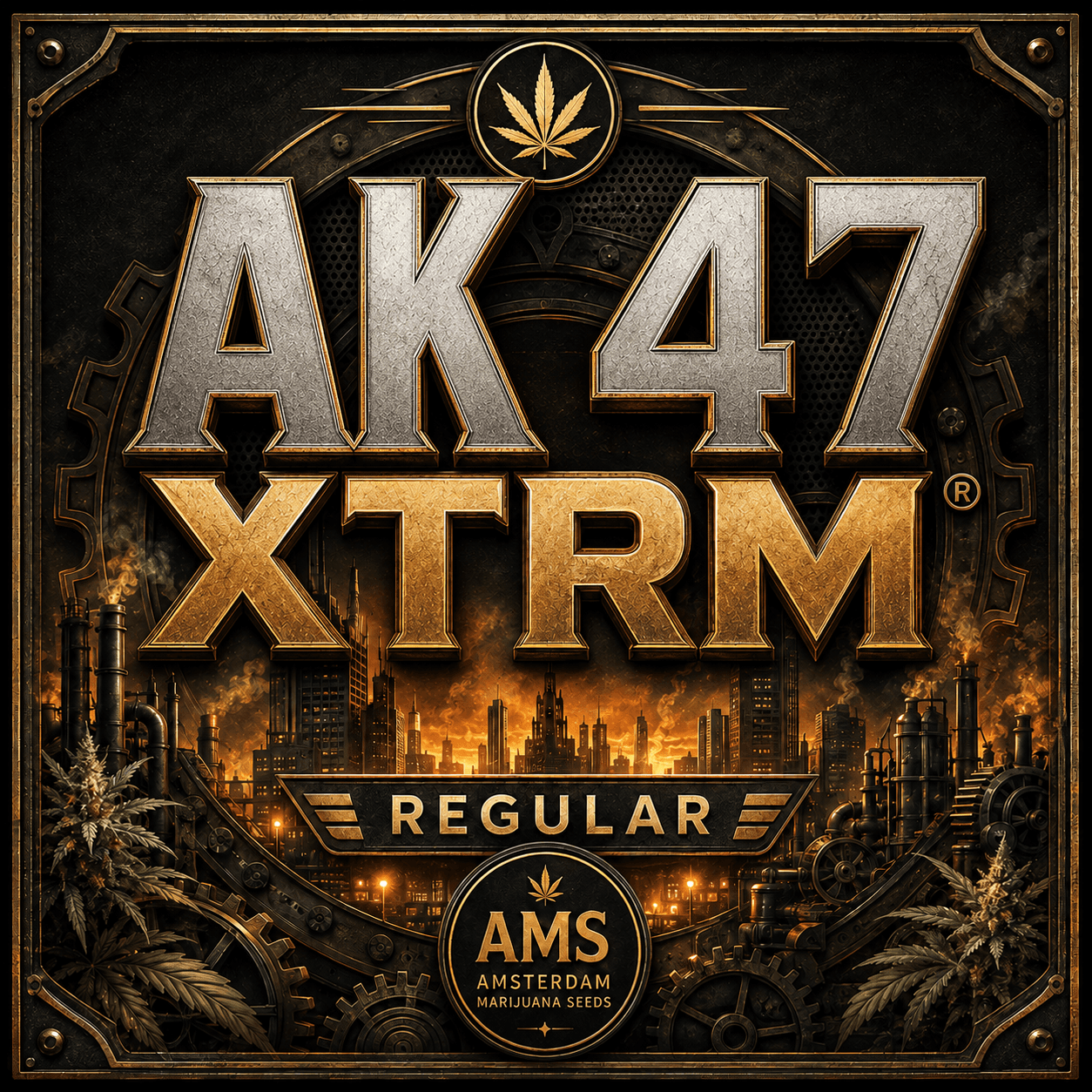 AK 47 XTRM ® Regular Seeds - photo 3