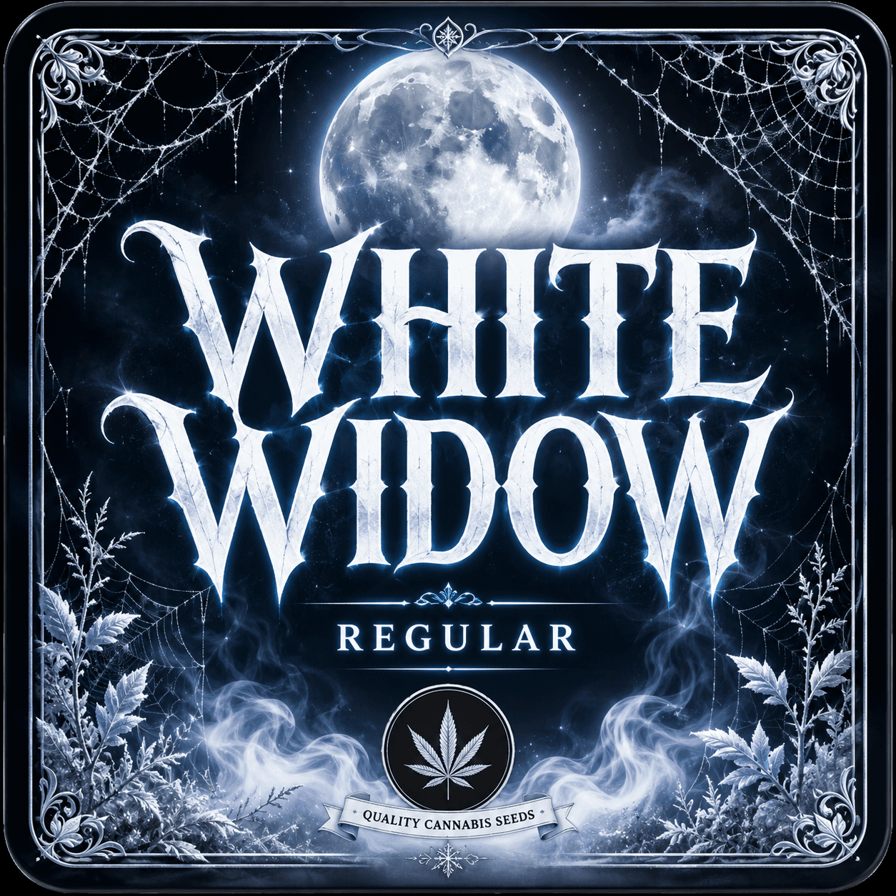 White Widow Regular Seeds - photo 4