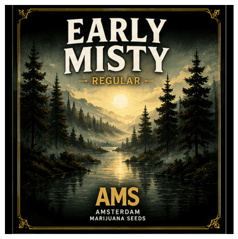 Early Misty Regular Seeds - photo 4
