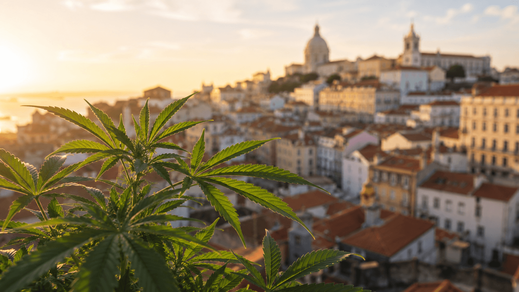 Is Weed Legal in Portugal? Decriminalization, Medical Cannabis, and the Law in 2026
