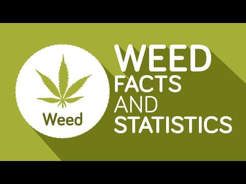Basic facts about marijuana