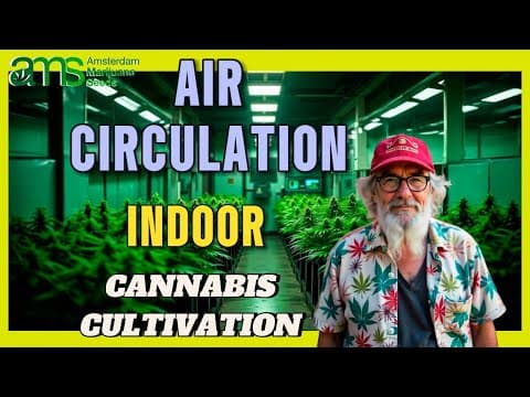The Air Circulation – Indoor Cannabis Grow Room