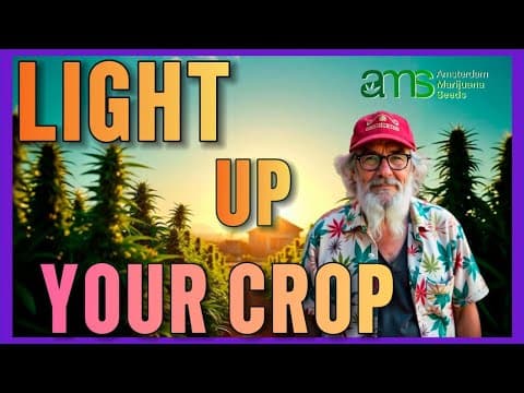 Best Lighting for Indoor Growing Weed