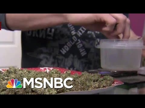 Marijuana Legalization in the US