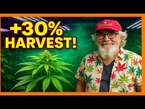 Cannabis and CO2 – How to increase your yield