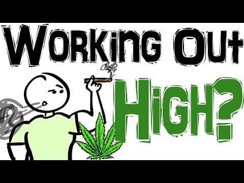 Marijuana Friendly Gym – Power Plant Fitness