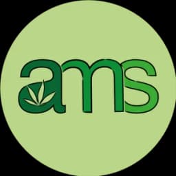 AMS Editorial Team