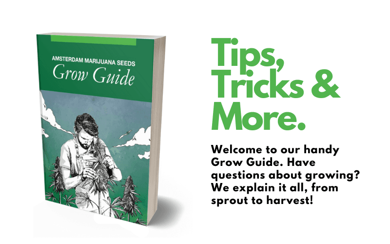 AMS Grow Guide overview