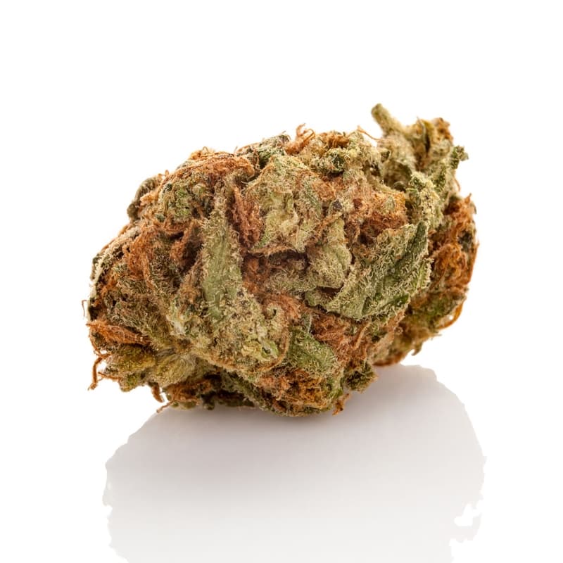 White NL XTRM ® Feminized Seeds - photo 2