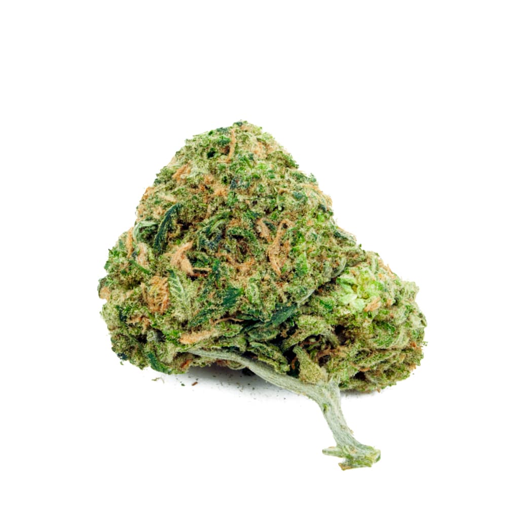 Slurricane Feminized Seeds - photo 2