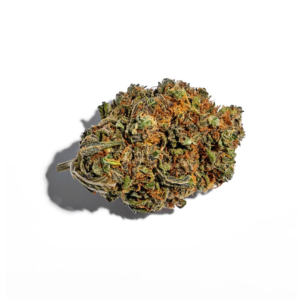 Purple Punch Feminized Seeds - photo 2