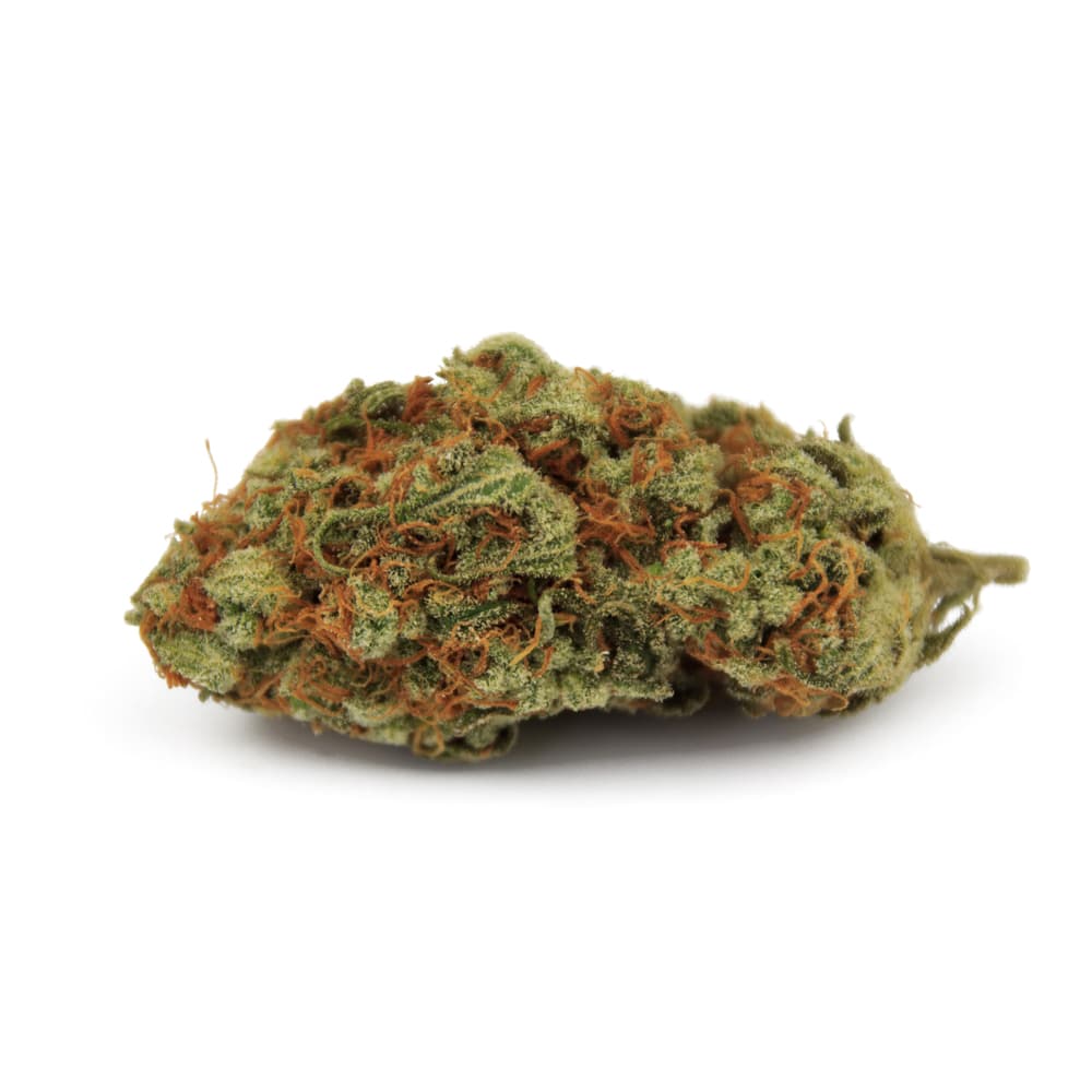 Gorilla Glue Feminized Seeds - photo 2