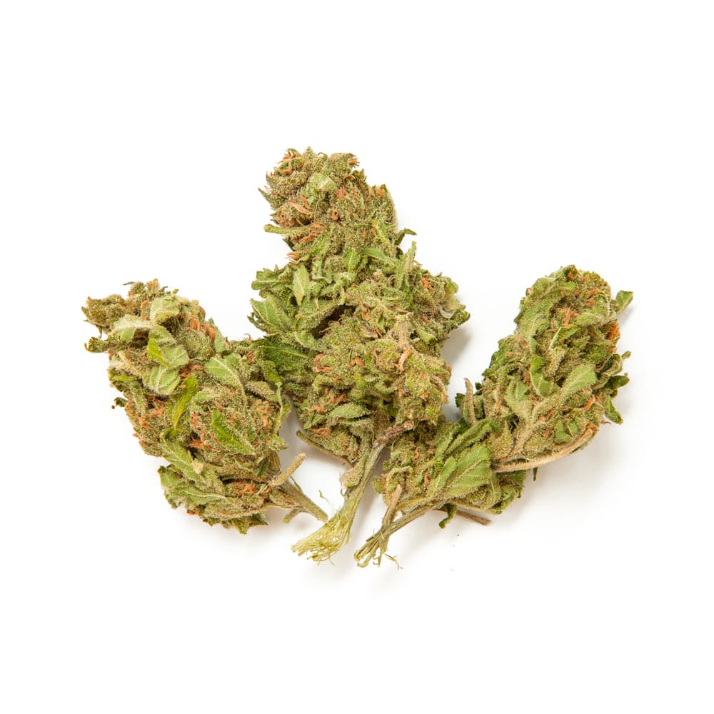 Ice Cream Cake Feminized Seeds - photo 2