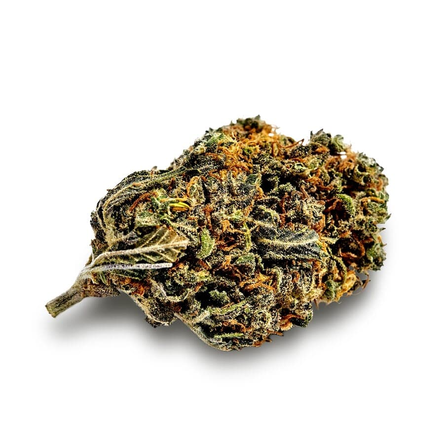 Gelato XTRM ® Feminized Seeds - photo 2