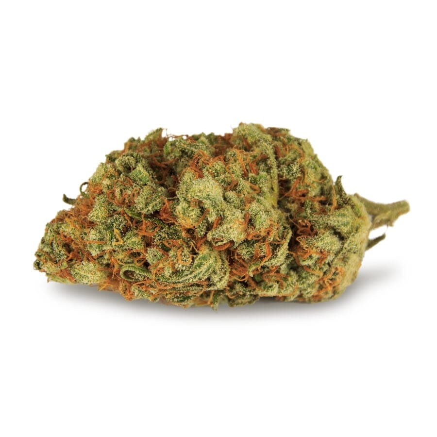 Black Domina Feminized Seeds - photo 4