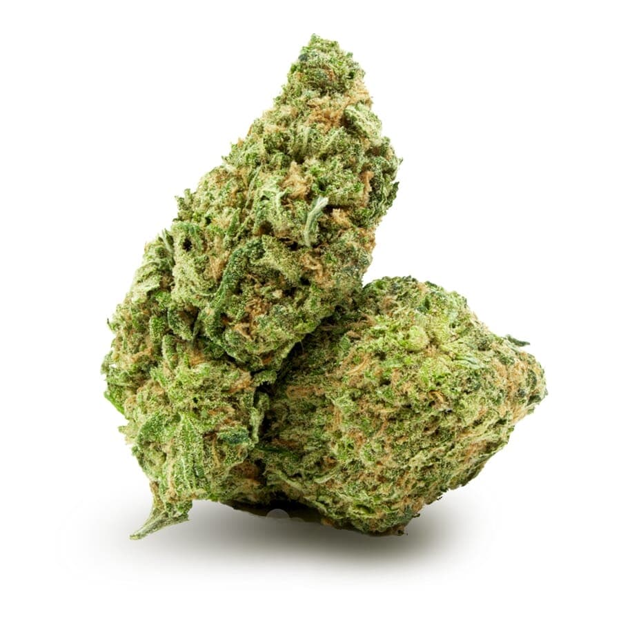 Lemonade Regular Seeds - photo 3