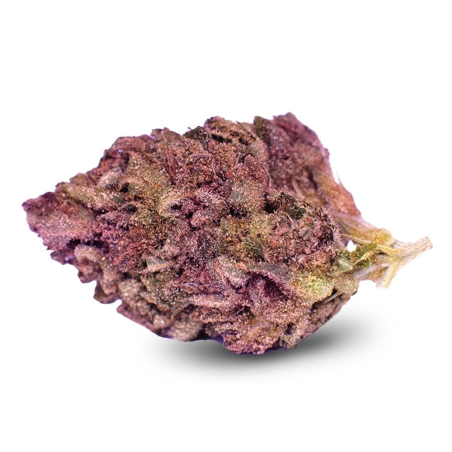 Blueberry Muffin Feminized Seeds - photo 2
