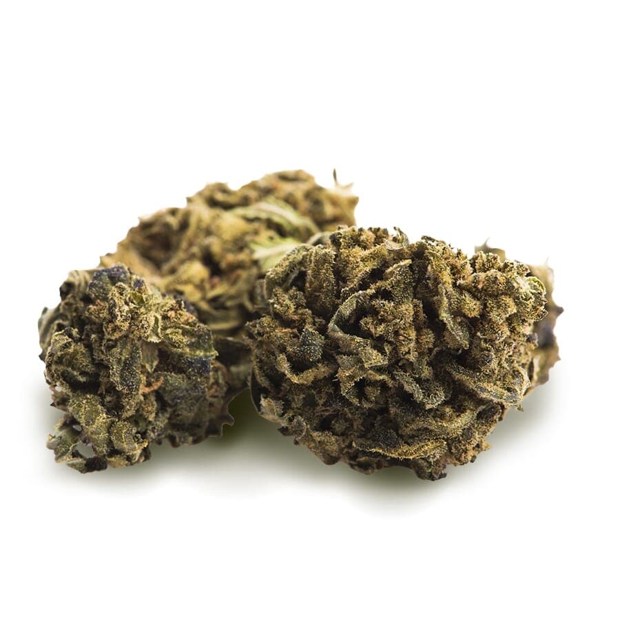 Stardust Feminized Seeds - photo 3