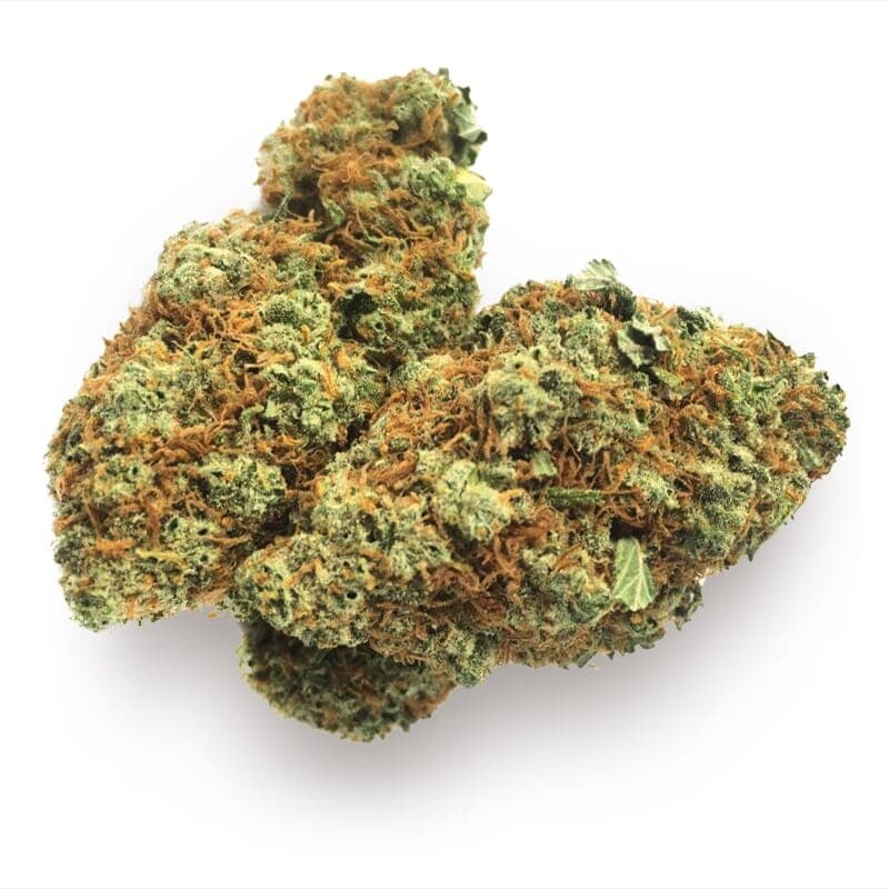 Skunk Supreme Feminized Seeds - photo 2