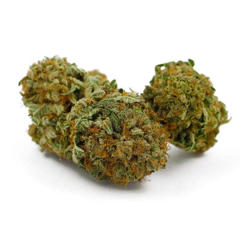 Narco Feminized Seeds - photo 2