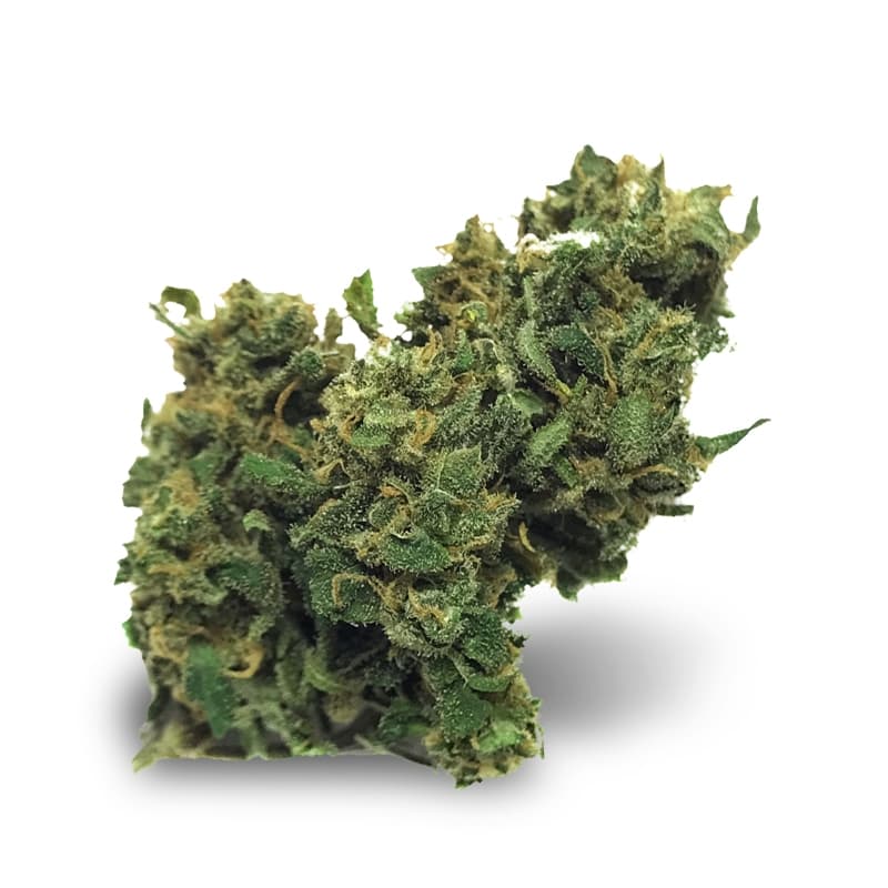 Big Bud Autoflower Seeds - photo 2